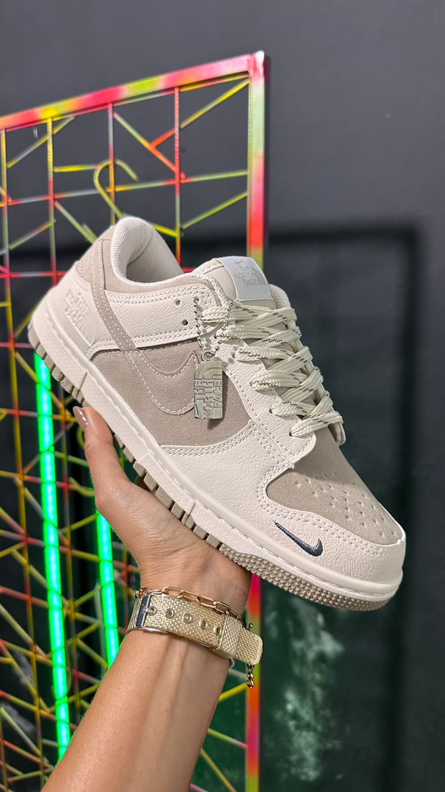 Dunk Northface